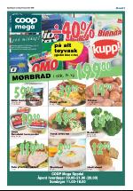 opdalingen-20080911_000_00_00_009.pdf