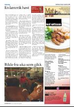 opdalingen-20080913_000_00_00_014.pdf