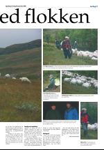 opdalingen-20080913_000_00_00_021.pdf