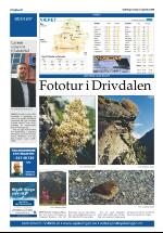 opdalingen-20080913_000_00_00_032.pdf