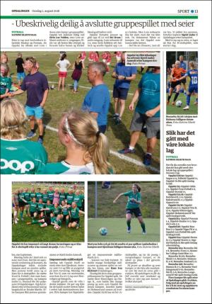 opdalingen-20180801_000_00_00_013.pdf