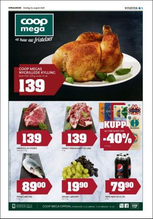 opdalingen-20180829_000_00_00_005.pdf