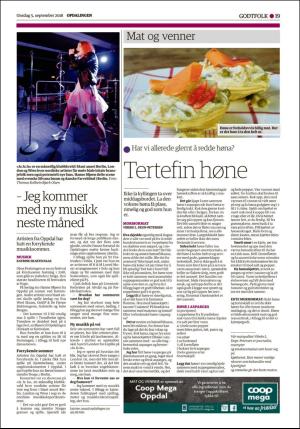 opdalingen-20180905_000_00_00_019.pdf