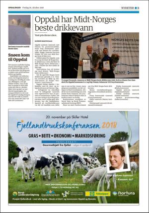 opdalingen-20181026_000_00_00_011.pdf