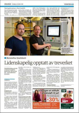opdalingen-20181031_000_00_00_011.pdf