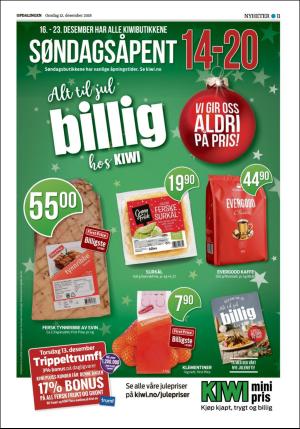 opdalingen-20181212_000_00_00_011.pdf
