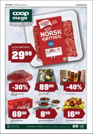 opdalingen-20190130_000_00_00_005.pdf