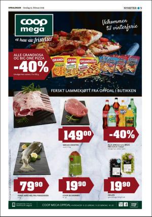 opdalingen-20190213_000_00_00_009.pdf