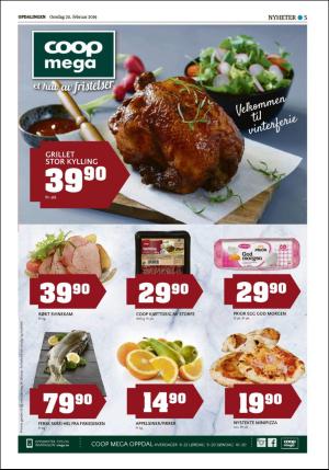 opdalingen-20190220_000_00_00_005.pdf