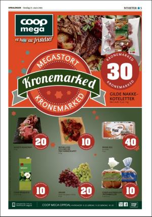 opdalingen-20190327_000_00_00_005.pdf