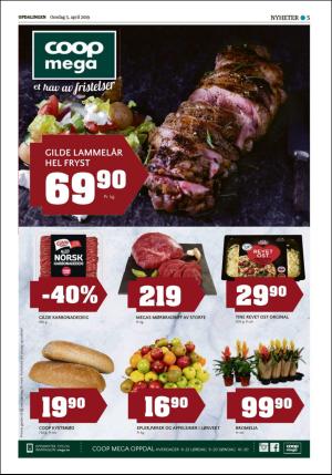 opdalingen-20190403_000_00_00_005.pdf