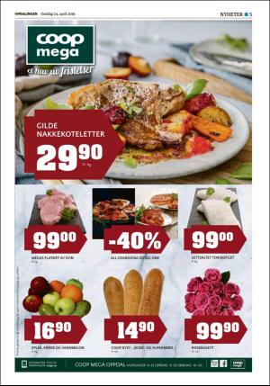 opdalingen-20190424_000_00_00_005.pdf