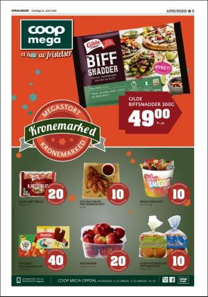 opdalingen-20190522_000_00_00_009.pdf