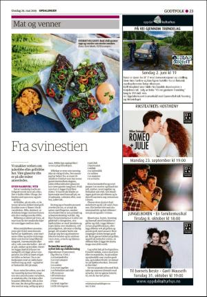 opdalingen-20190529_000_00_00_023.pdf