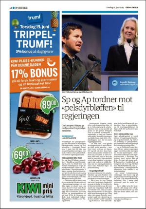 opdalingen-20190612_000_00_00_012.pdf