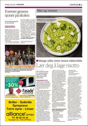 opdalingen-20190612_000_00_00_023.pdf