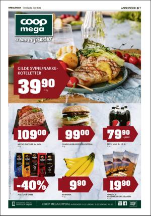 opdalingen-20190619_000_00_00_007.pdf