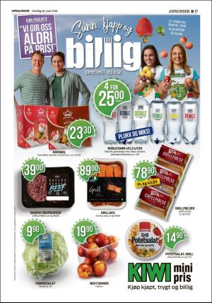 opdalingen-20190619_000_00_00_017.pdf