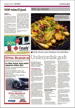 opdalingen-20190619_000_00_00_027.pdf