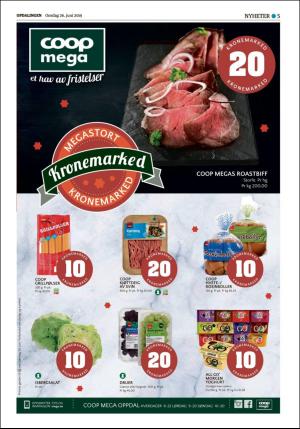 opdalingen-20190626_000_00_00_005.pdf