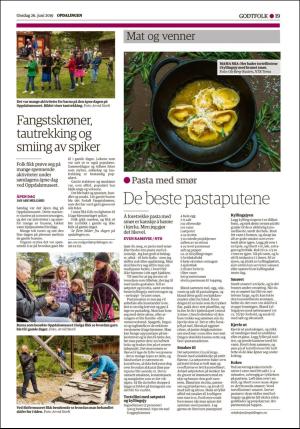 opdalingen-20190626_000_00_00_019.pdf