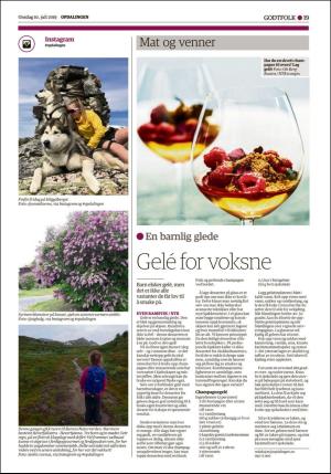 opdalingen-20190710_000_00_00_019.pdf