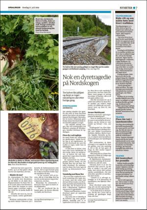 opdalingen-20190717_000_00_00_007.pdf