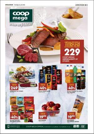 opdalingen-20190731_000_00_00_005.pdf