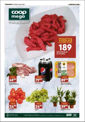 opdalingen-20190807_000_00_00_005.pdf