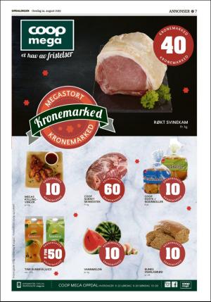 opdalingen-20190814_000_00_00_007.pdf