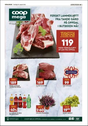 opdalingen-20190828_000_00_00_005.pdf