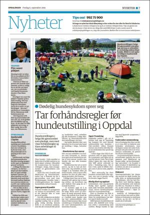 opdalingen-20190906_000_00_00_007.pdf