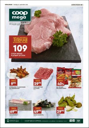 opdalingen-20190925_000_00_00_005.pdf