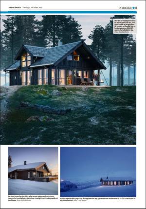 opdalingen-20191004_000_00_00_011.pdf