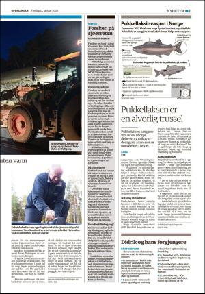 opdalingen-20200117_000_00_00_011.pdf