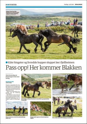 opdalingen-20200701_000_00_00_018.pdf