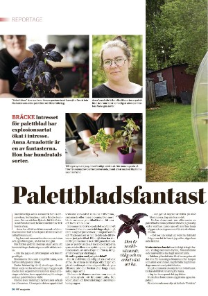 opmagasin-20210722_000_00_00_026.pdf