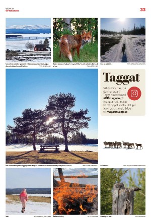 opmagasin-20220519_000_00_00_033.pdf