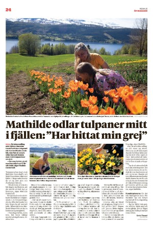 opmagasin-20220621_000_00_00_024.pdf