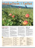 opp-20050818_000_00_00_002.pdf