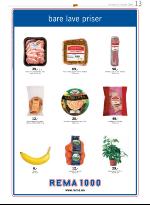 opp-20060209_000_00_00_013.pdf