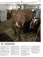 opp-20060309_000_00_00_019.pdf