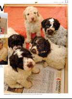 opp-20060601_000_00_00_013.pdf