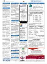 opp-20070118_000_00_00_018.pdf