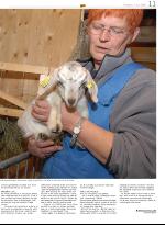 opp-20070503_000_00_00_011.pdf