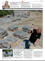 opp-20070607_000_00_00_011.pdf