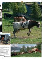 opp-20070614_000_00_00_015.pdf