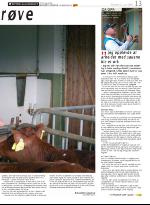 opp-20070712_000_00_00_013.pdf