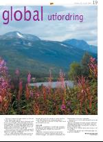 opp-20070830_000_00_00_019.pdf