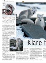 opp-20070927_000_00_00_012.pdf